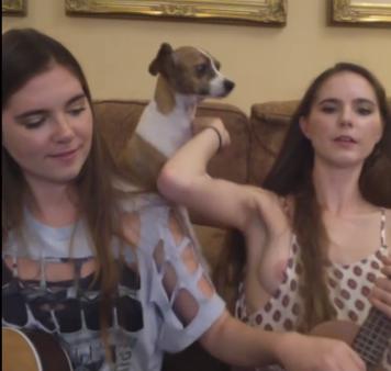 Nina Nelson Nip Slip On YouTube Live stream - Free Watch Online