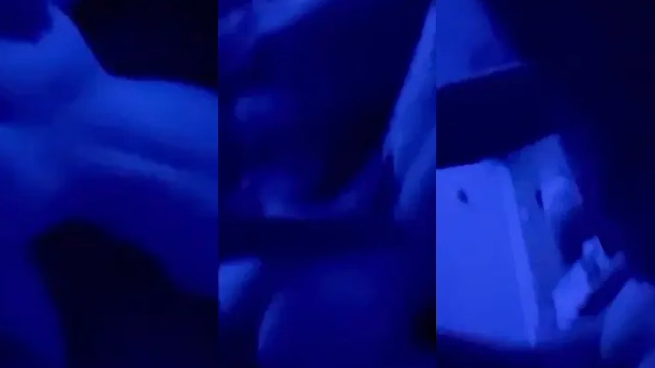 Avaxreyes - Doggystyle Sextape - Porn Video